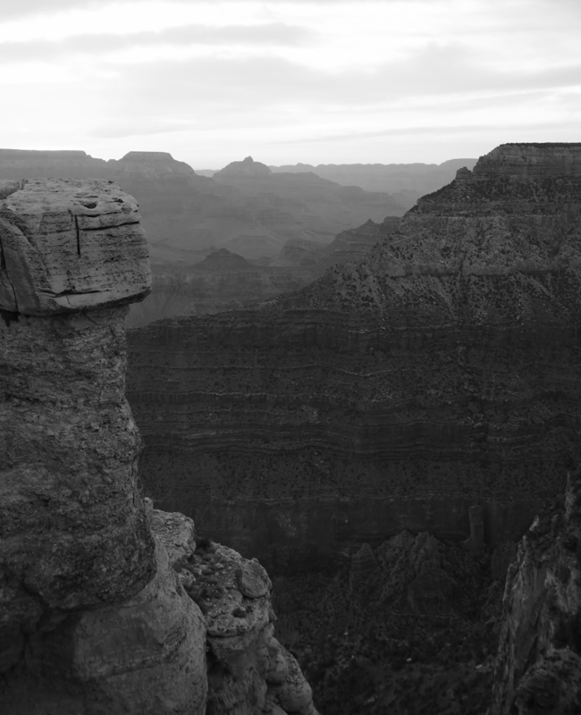 キャッチコピー